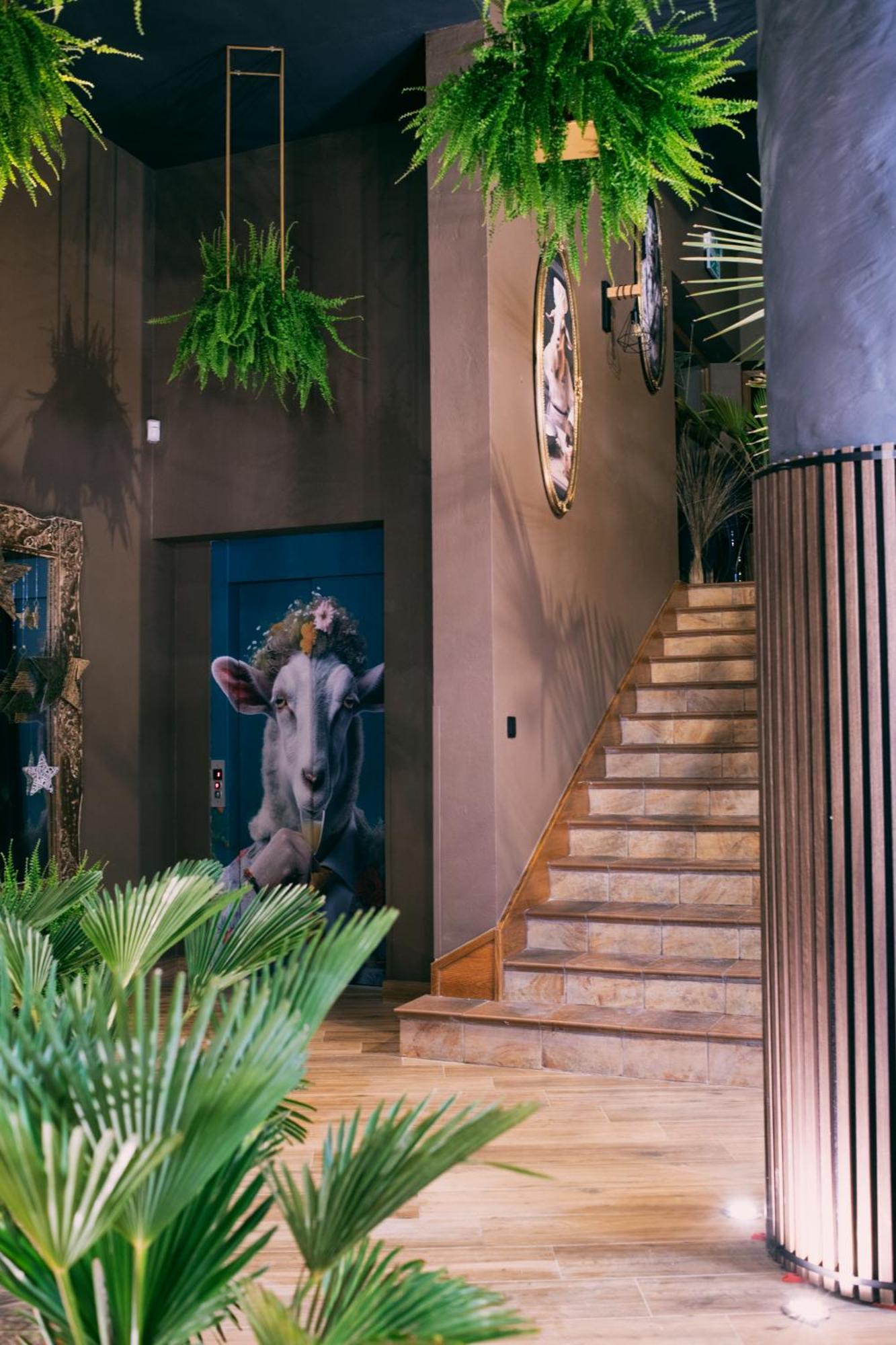 Kotarz Spa&wellness Hotel 3*