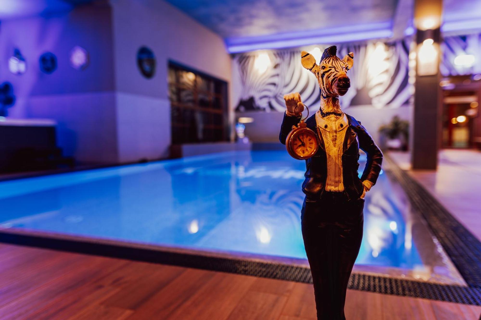 Hotel Kotarz Spa&wellness